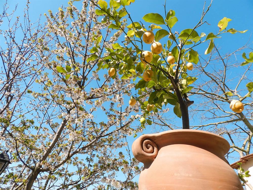 Bacio Del Sole B&B Positano Eksteriør bilde